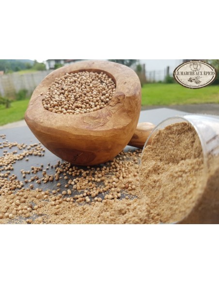 Graines de Coriandre