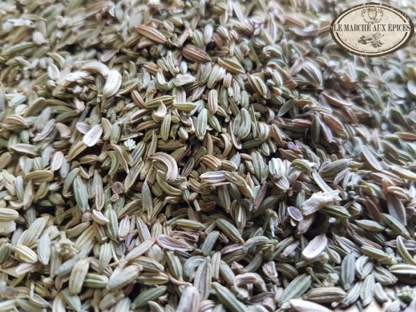 Fenouil graines BIO – 1 kg