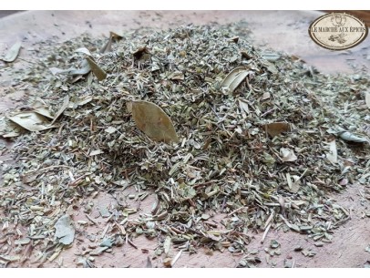 Corse (Herbes du maquis)