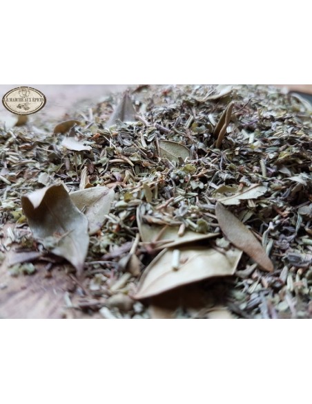 Corse (Herbes du maquis)