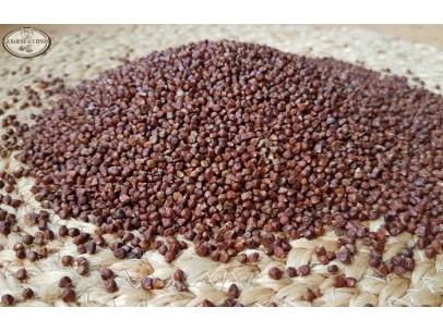 Maniguette ou graine du...