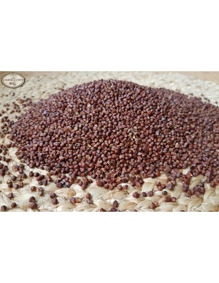 Maniguette ou graine du paradis