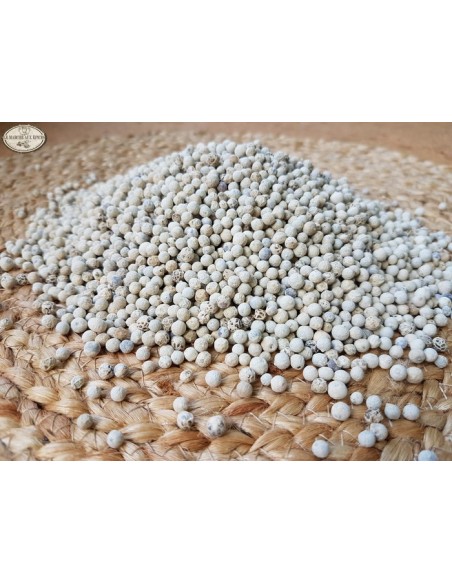 Poivre blanc en grains surchoix