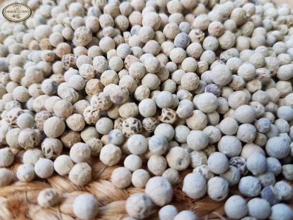 Poivre blanc en grains surchoix