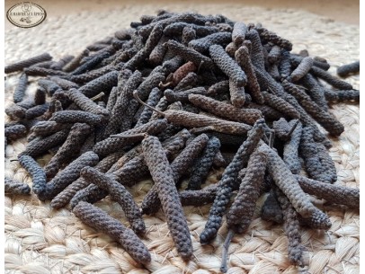 Poivre long des Indes (Java)