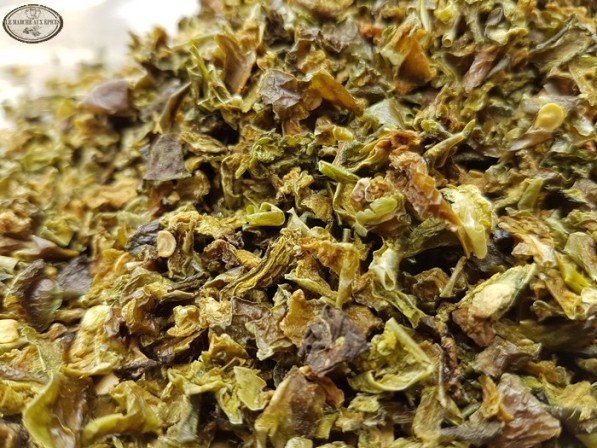 Poivron vert Poivron vert