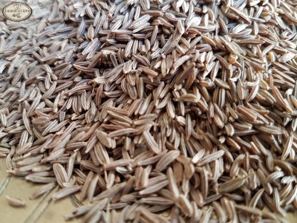 Carvi graines